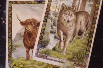 A Message From the Universe ~ Divine Feminine in Shadow, Multiple Druid Animal Oracle Cards