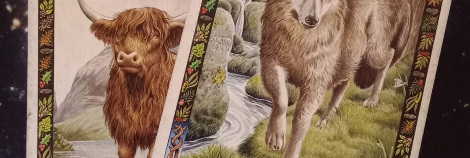 A Message From the Universe ~ Divine Feminine in Shadow, Multiple Druid Animal Oracle Cards