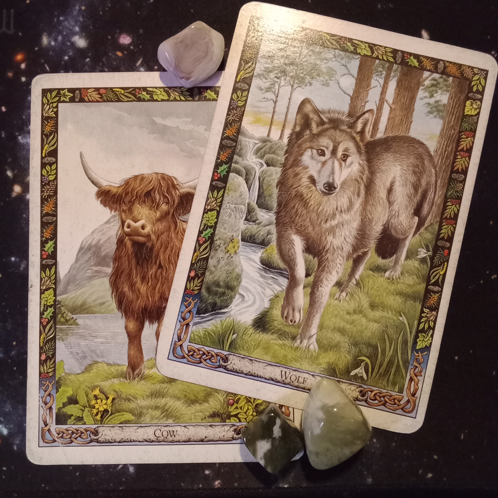 A Message From the Universe ~ Divine Feminine in Shadow, Multiple Druid Animal Oracle Cards