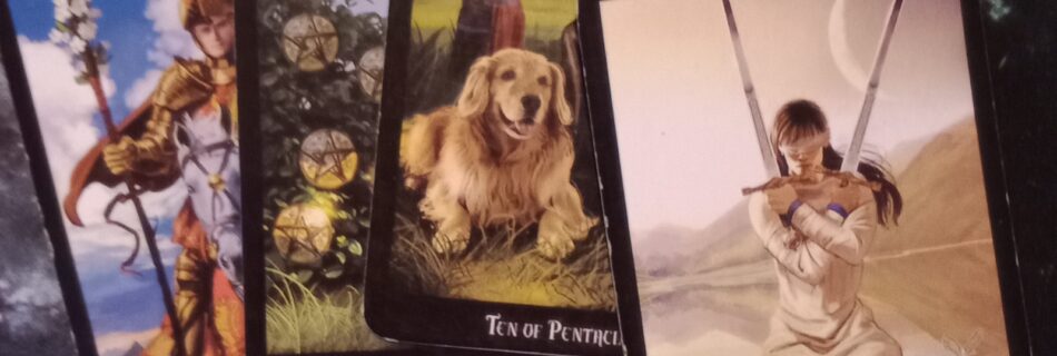 Message from the Universe ~ Instant Gratification or Sustainability? Multiple Witches' Tarot Cards