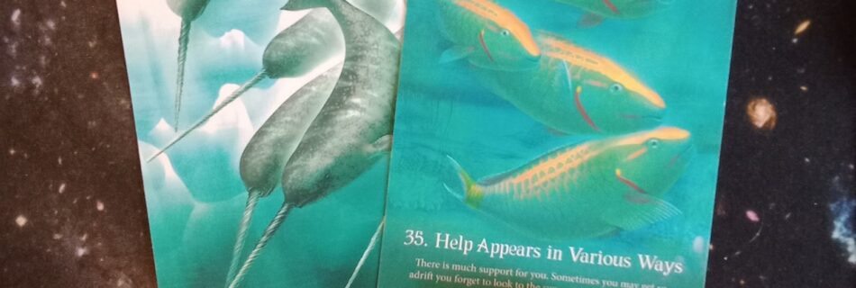 A Message From the Universe ~ Stay the Course! Multiple Whispers of the Ocean Oracle Cards