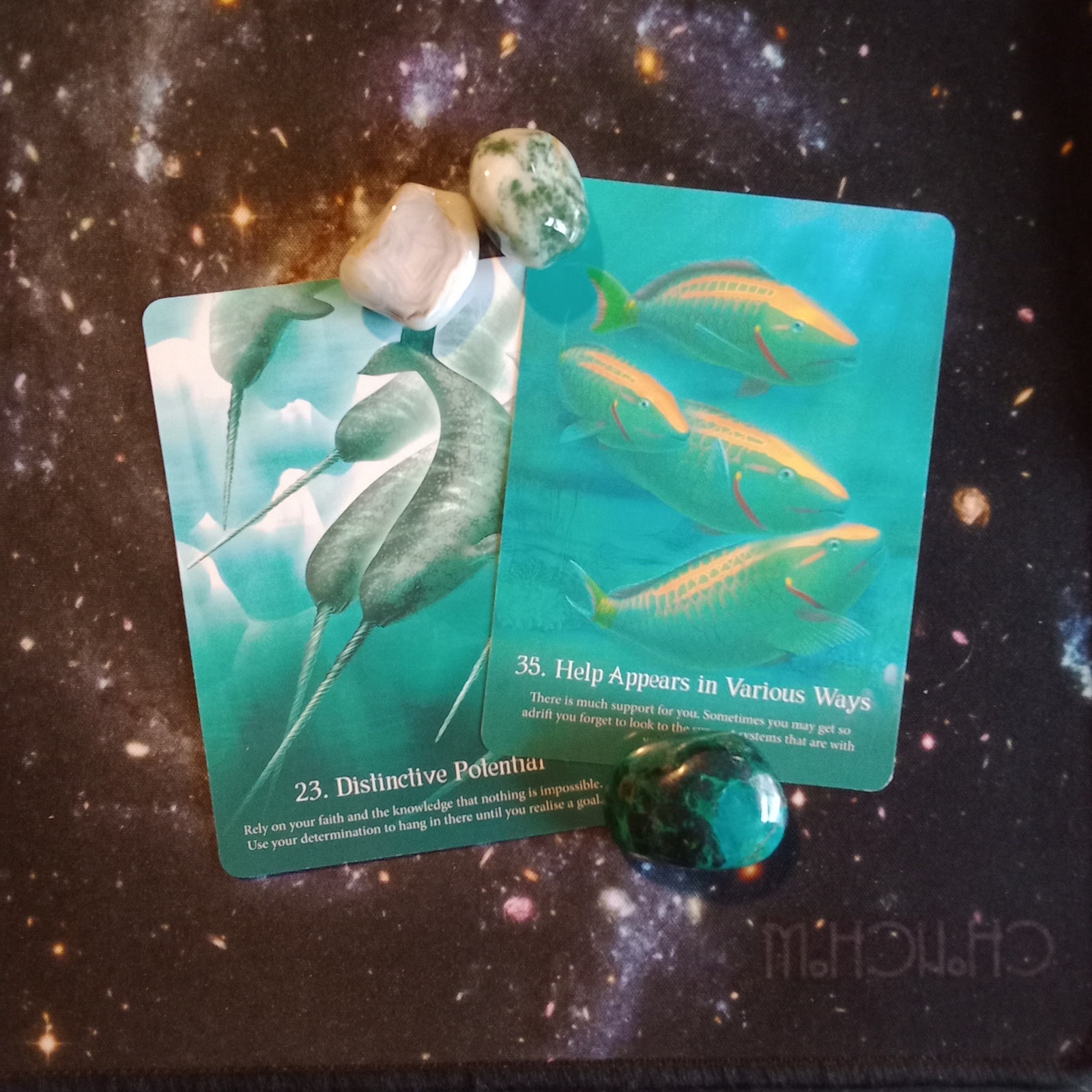 A Message From the Universe ~ Stay the Course! Multiple Whispers of the Ocean Oracle Cards