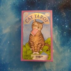 Cat Tarot by Megan Lynn Kott, Box Front