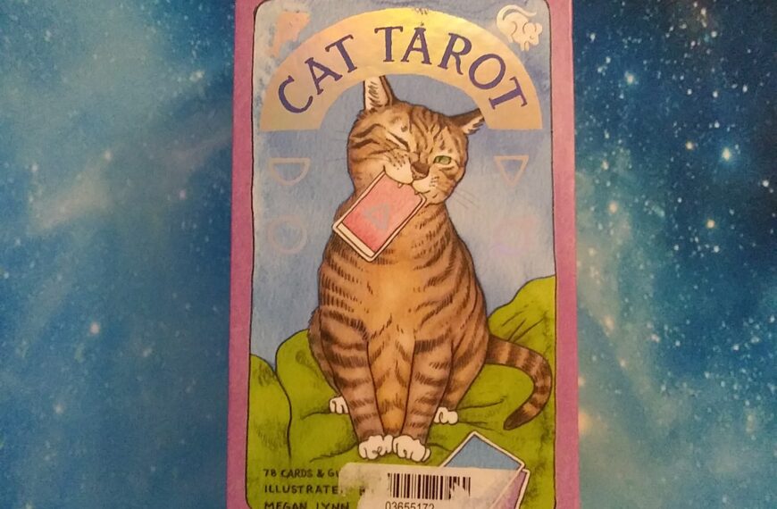 Cat Tarot by Megan Lynn Kott, Box Front