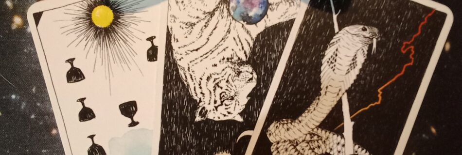 A Message From the Universe ~ Get 'Er Done, Multiple Wild Unknown Pocket Tarot Cards