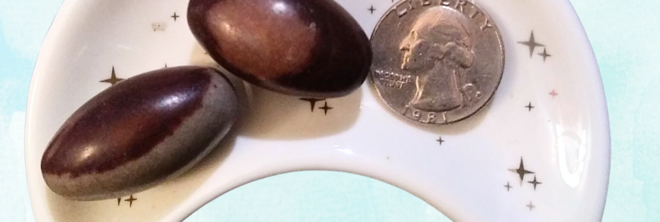 Shiva Lingam Healing Crystal, Tumbled, 1 Stone, 2 stones in moon-shaped dish on light background