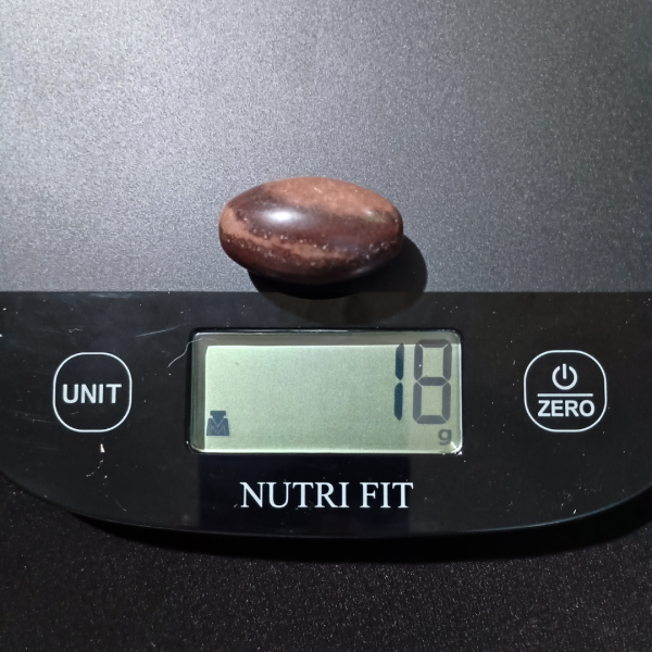 Shiva Lingam Healing Crystal, Tumbled, 1 Stone, scale, 18 grams