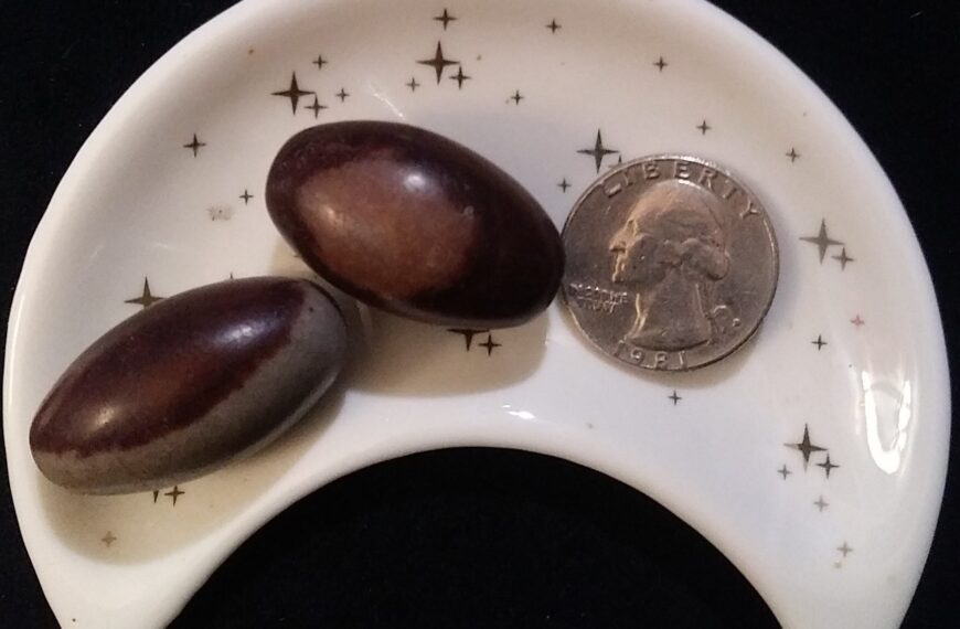 Shiva Lingam Healing Crystal