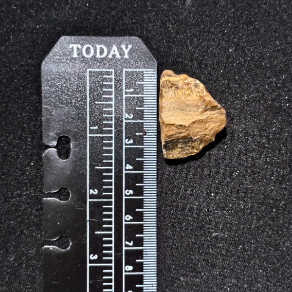 Tigers Eye Healing Crystal, Raw, 1 Stone, ruler, 3.5 cm