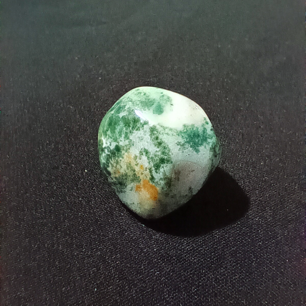 Tree Agate Healing Crystal, Tumbled, 1 Stone on black background (1)