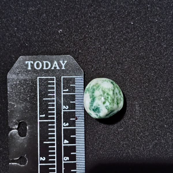 Tree Agate Healing Crystal, Tumbled, 1 Stone, ruler, 2 cm