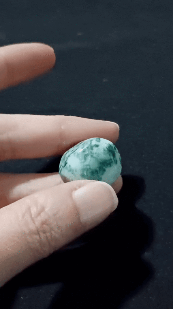 Tree Agate Healing Crystal, Tumbled, 1 Stone, video clip