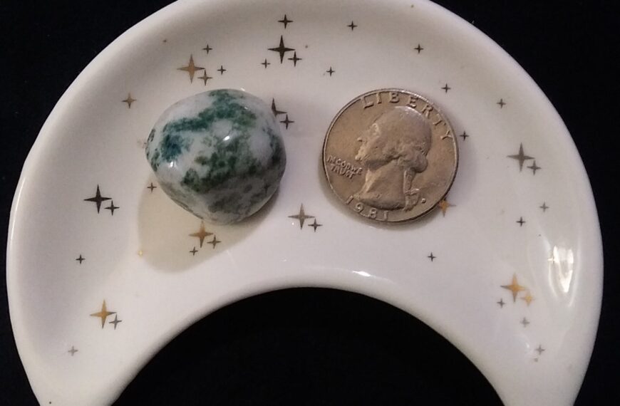 Tree Agate Healing Crystal, Tumbled