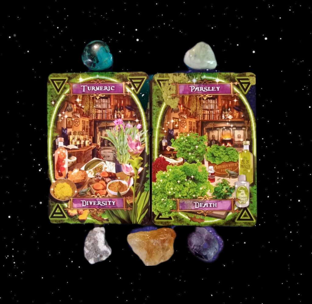 A Message from the Universe ~ Shake it Up! Witches' Kitchen Oracle Cards