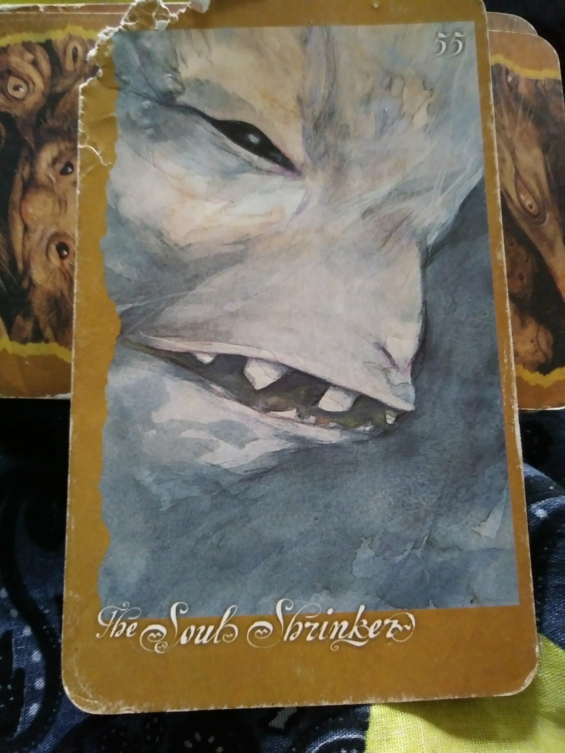 A Message from the Universe - The Soul Shrinker