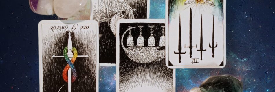 A Message from the Universe ~ Slow Down! Wild Unknown Pocket Tarot Cards