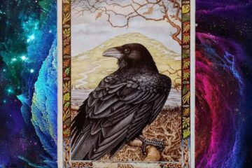 A Message from the Universe ~ In Darkness and Light, Druid Animal Oracle Card