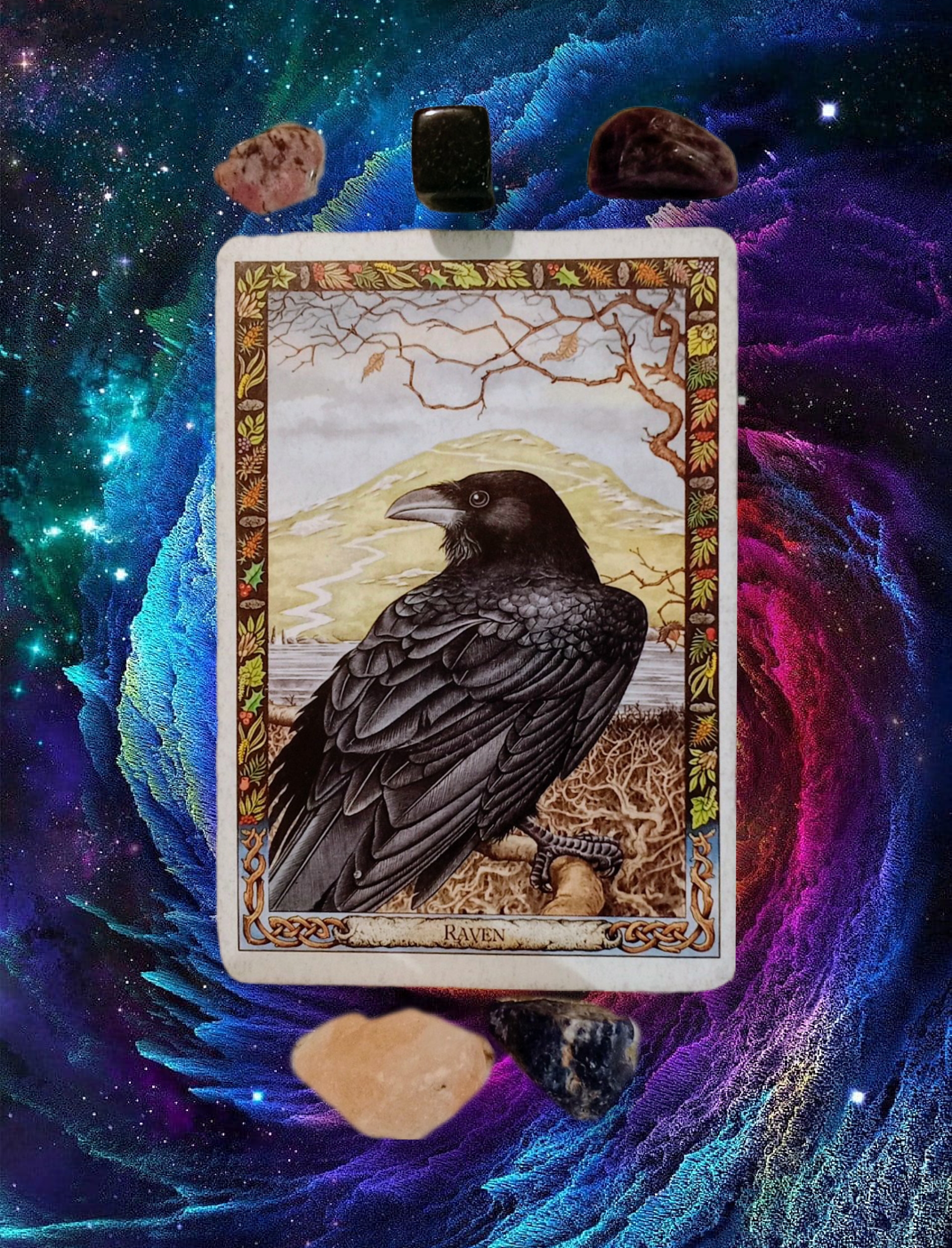 A Message from the Universe, Druid Animal Oracle