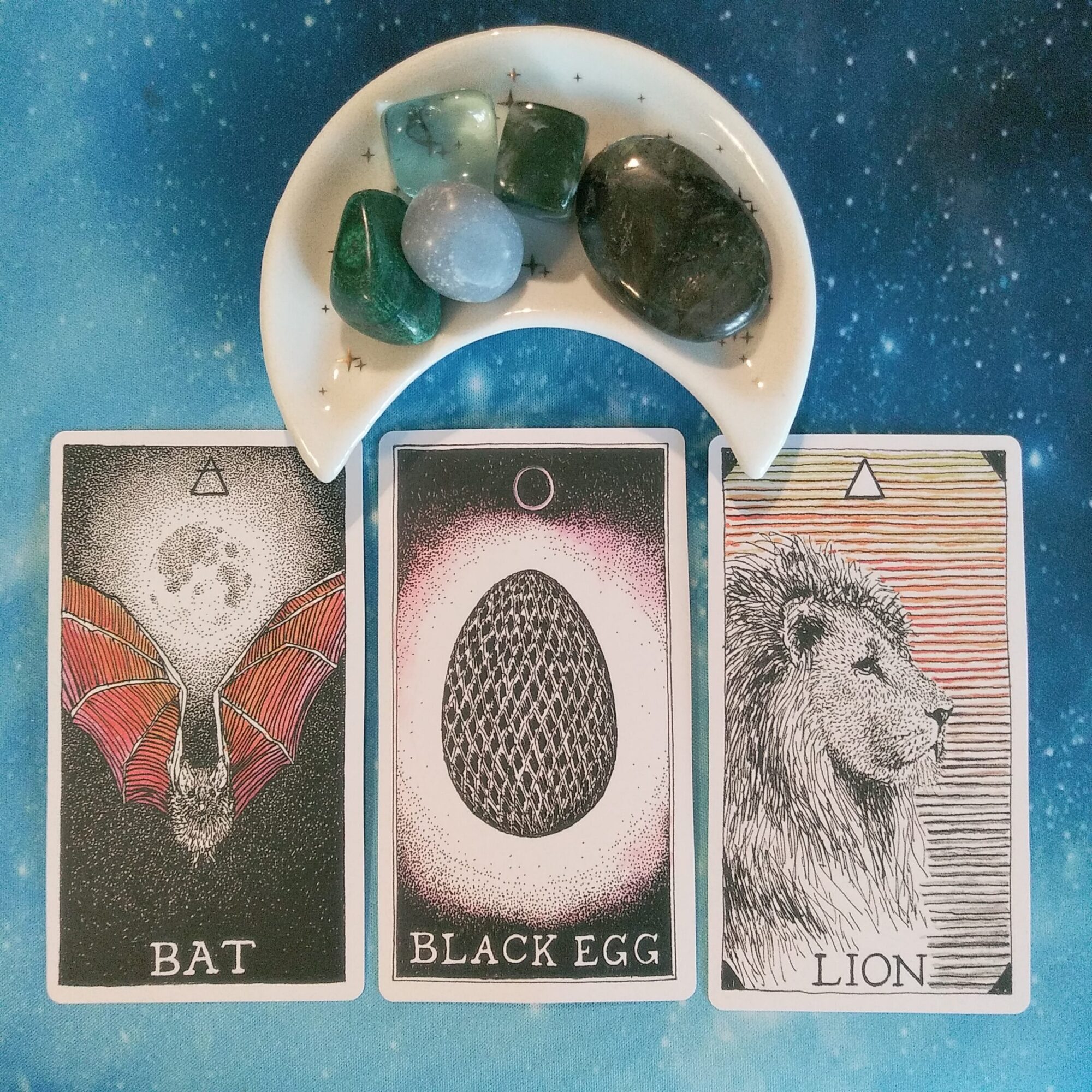 A Message from the Universe ~ On Truth and Wisdom, Wild Unknown Animal Oracle Cards