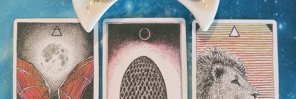 A Message from the Universe ~ On Truth and Wisdom, Wild Unknown Animal Oracle Cards