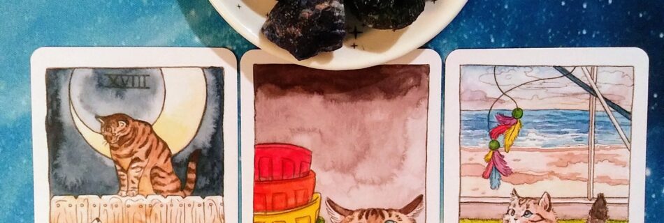 A Message from the Universe ~ Too Good to be True? Cat Tarot Cards by Jenna Huerta, Megan Lynn Kott, and Julia Smillie