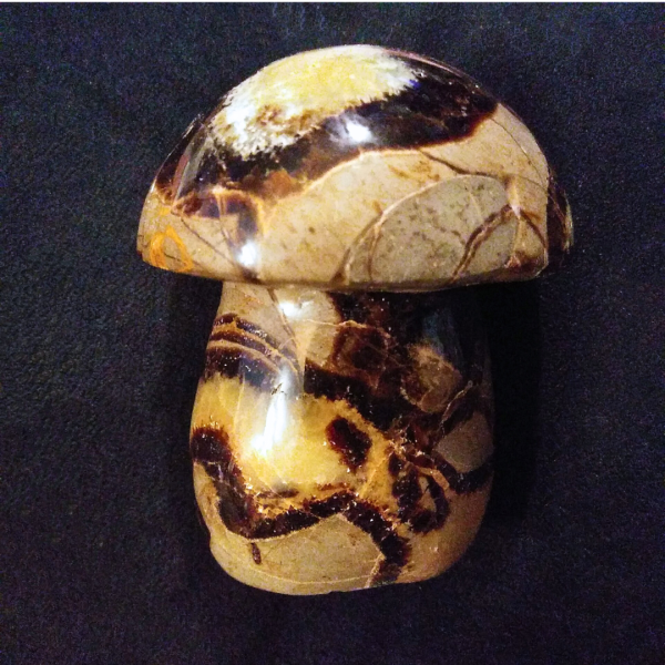 Septarian Healing Crystal, 10.5oz Mushroom on black background