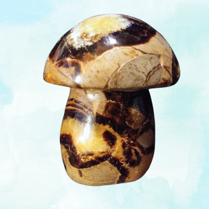 Septarian Healing Crystal, 10.5oz Mushroom on light background