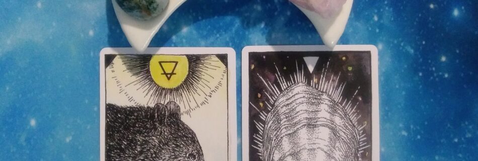 A Message from the Universe ~ Your First Wobbly Steps, Wild Unknown Animal Spirit Cards