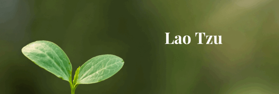 Nature does not hurry, yet everything is accomplished - Lao Tzu