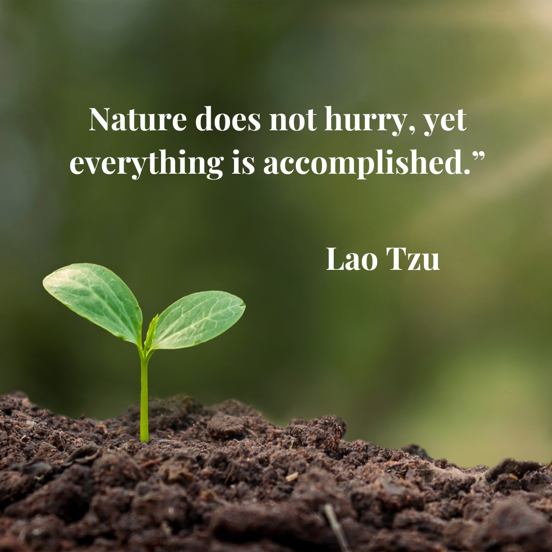 Nature does not hurry, yet everything is accomplished - Lao Tzu