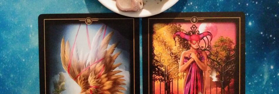 Fresh Starts and Beginner's Brain ~ A Message from the Universe, Oracle of Visions Cards