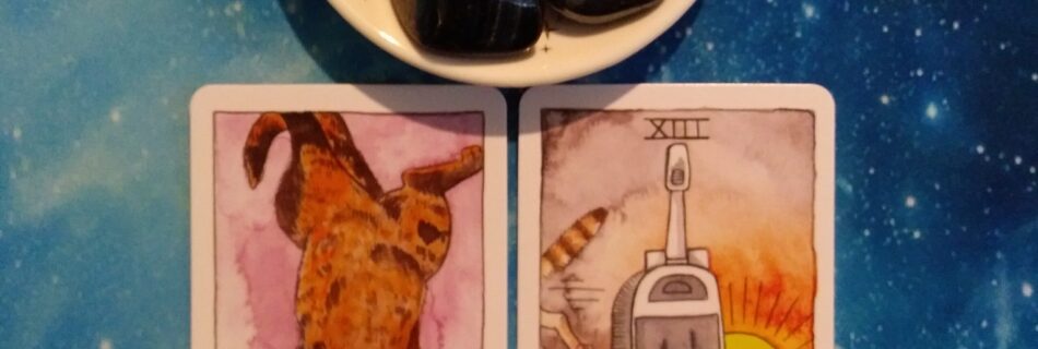 2 Cat Tarot cards and crystals on a starry blue background