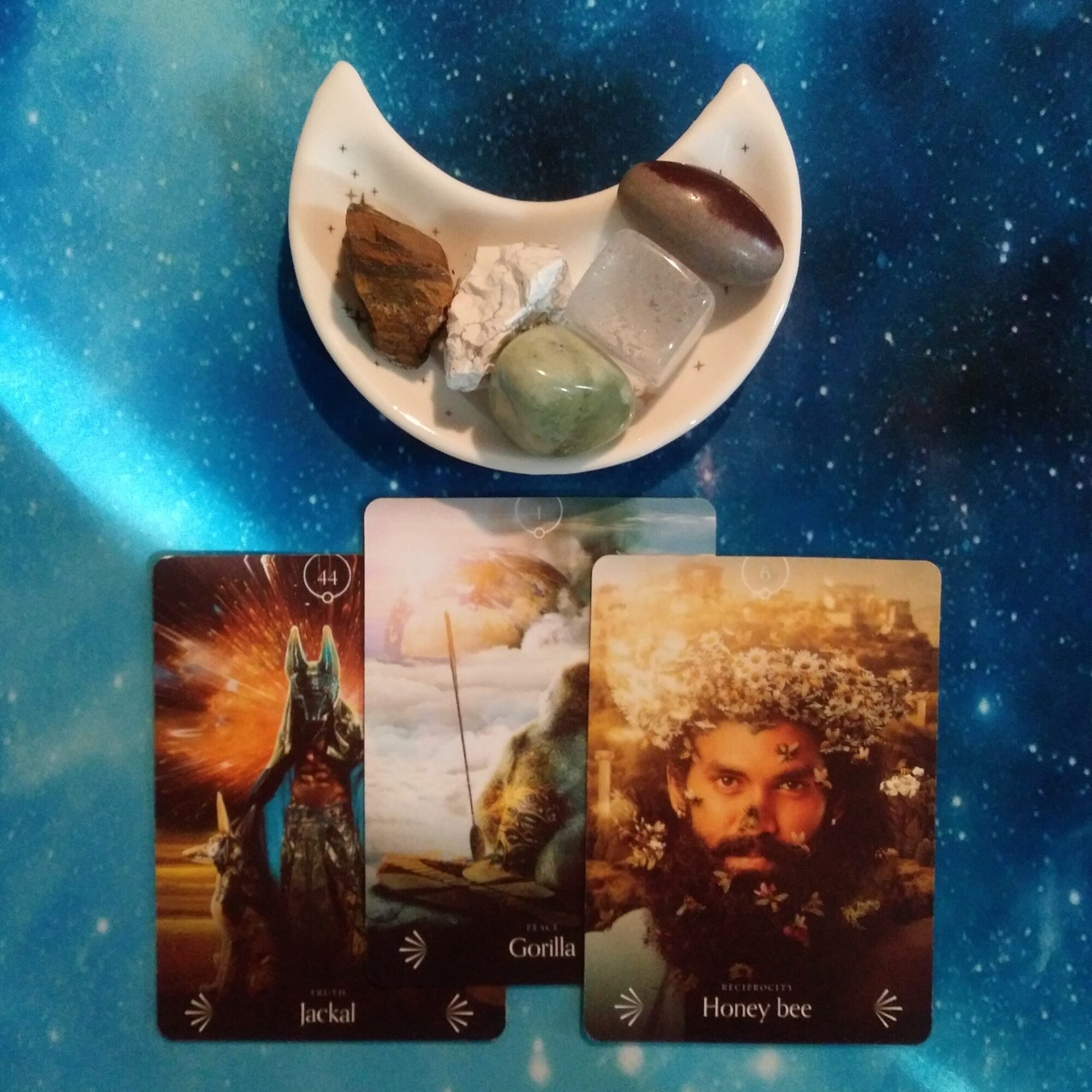 A Difficult Conversation ~ A Message from the Universe, Divine Animal Oracle cards