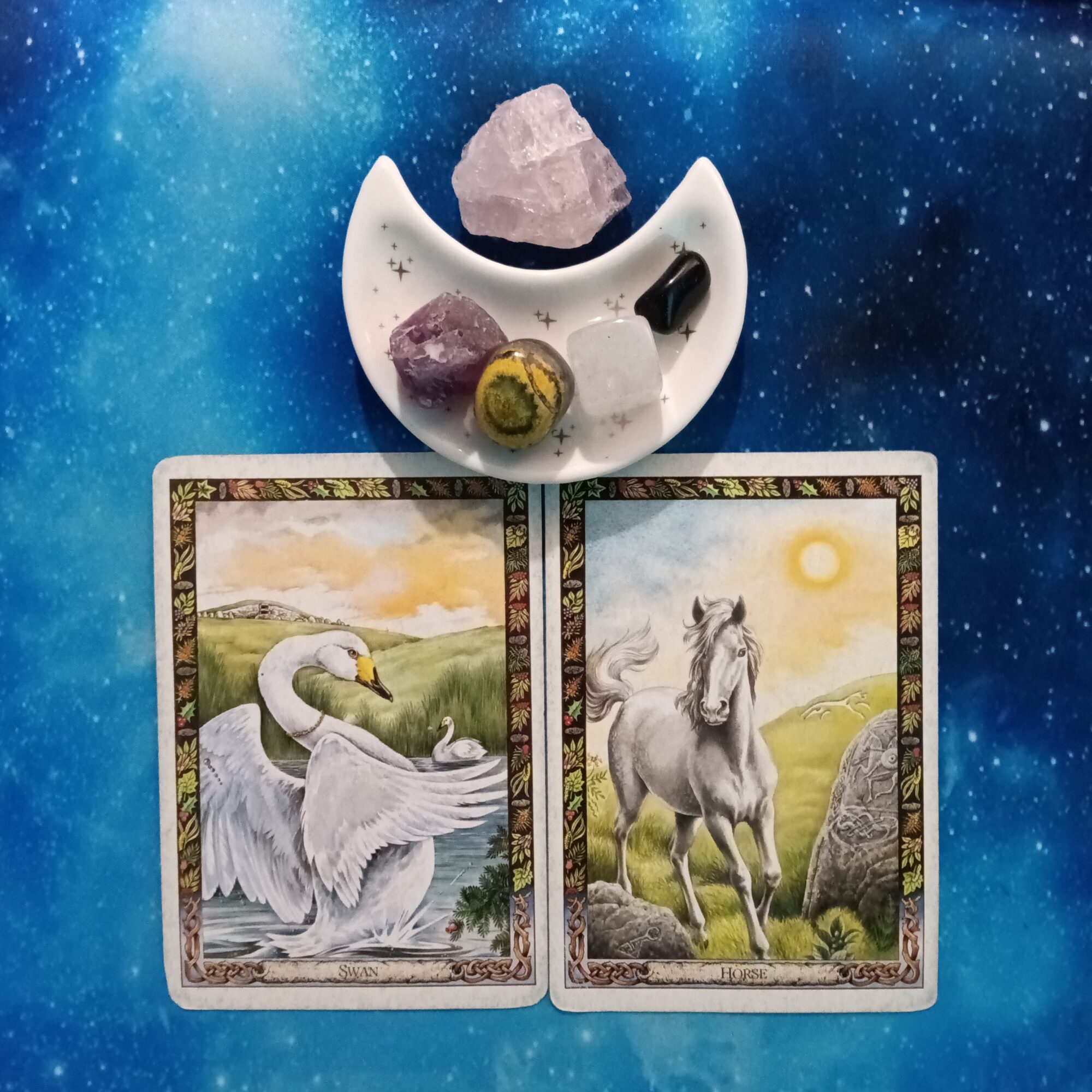 Inner Beauty Creates Outer Beauty ~ A Message From the Universe, Druid Animal Oracle cards