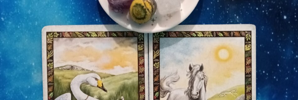 Inner Beauty Creates Outer Beauty ~ A Message From the Universe, Druid Animal Oracle cards