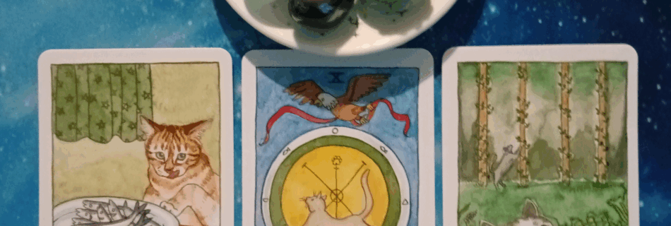 Reward for Your Hard Work ~ a Message From the Universe, 2 Cat Tarot cards and crystals on a starry blue background