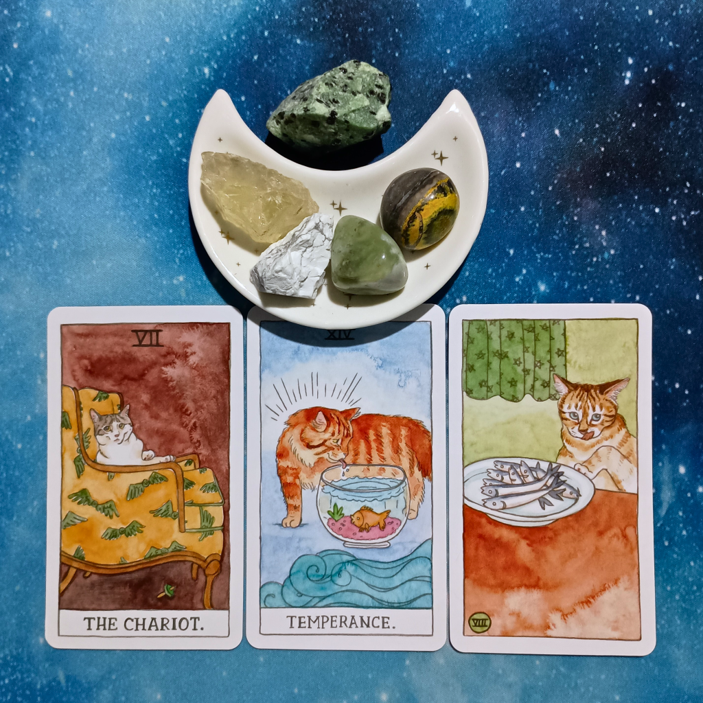 Life Is a Dance! ~ A Message From the Universe, 3 Cat Tarot cards and crystals on a starry blue background