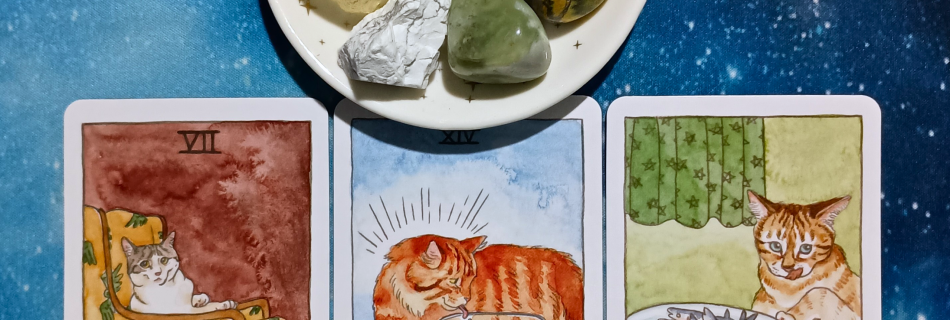 Life Is a Dance! ~ A Message From the Universe, 3 Cat Tarot cards and crystals on a starry blue background