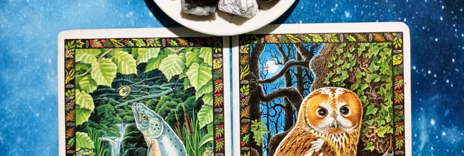 Work Smart, Not Hard! ~ A Message From the Universe, 2 Druid Animal Oracle cards and crystals on a starry blue background